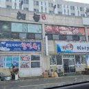 해돈냉삼 이미지