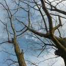 고인돌공원관리사무소 이미지