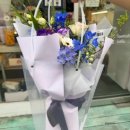 라이티티아플로 이미지