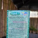 스테이더담 가곡 이미지