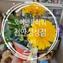 투토빌딩 | 천안 성성동 꽃집 모어댄플라워 천안성성점 연주회 꽃다발 주문 후기