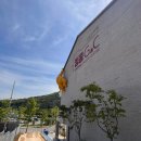 대구 새로 오픈한 야외 예식장 &lt;더원웨딩&gt; 소개 : 대구웨딩홀 : 달서구예식장 : 밝은웨딩홀 : 대구스몰웨딩