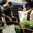 사그내길 이미지