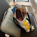 스텝의 제주도 입도기, 스텝살이 잘 한 선택일까? l 언니네 시골집 1박 후기, 라마다플라자 제주 결혼식