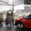 타이어스퀘어 | 🚗 [정왕동스팀세차] 시흥세차장 AWC스팀세차장 성담스퀘어점 리얼후기✨ 스팀으로 타르까지 싹! 새차급 복원