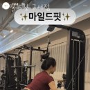 마일드핏