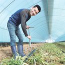 김선영농장 이미지