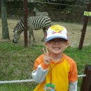 기린어린이집(신) 이미지