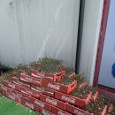 (유)합동물류넷 | [25년 3, 4월] 사교적인(나 치고는?) 봄