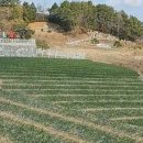 현대가축병원 이미지