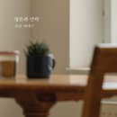부비프 이미지