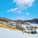 삼양레저빌딩 | 평창 한달살기 | 비용별 숙소 추천 투숙 후기