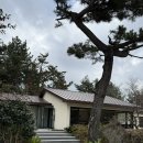 회수동-1 | 조용한 힐링이 필요하다면, 제주도 서귀포 카페 추천 회수다옥 호지차 백차 후기