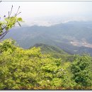 변산수산 이미지
