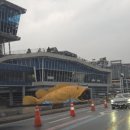 대산정육점 | 내가 사랑하는 단양, 제천 여행(옥전자연휴양림, 다누리아쿠아리움, 단양시장)
