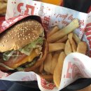 레드로빈 (RED ROBIN)