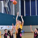 갑천초교 이미지