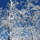 2015-03-0191