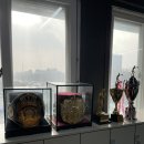 한남 권투 이미지