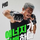 단백해