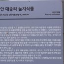 함안 대송리 늪지식물 | 함안 대송리 늪지식물