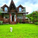 나무향가득펜션 네이버블로그