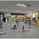 멘토태권도교육관 이미지