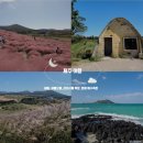 [제주 여행] 10월 제주도 서쪽, 새빌 핑크뮬리, 새별오름 억새 명소, 성이시돌목장, 협재 해수욕장
