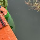 부대낚시터 이미지