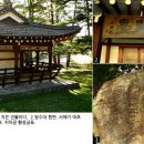 풍경의 바다 이미지