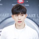 파나슈