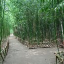 경안로 이미지
