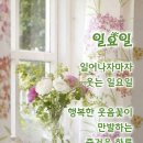 아름다운 주말 이미지 이미지