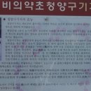 구기자 약초시장 이미지