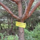 건축사사무소공백 이미지