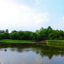 서울숲6 이미지