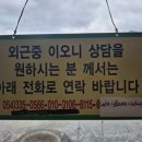 수림장 이미지