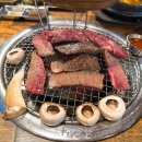 여기야생고기 이미지