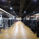 투엑스휘트니스 네이버블로그