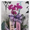 반야어린이집 이미지