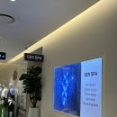 봉화로2 | [원주 관리 추천] 백화점두피관리, 피부관리 받기 | 젠스파 스킨 베이직 솔루션 솔직후기✨