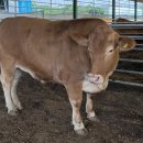 한일농장 이미지