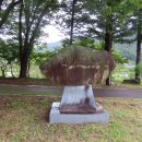 윗대이리 이미지