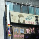 지오지노 이미지
