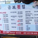 금보횟집