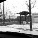 백석생활체육공원 리틀야구장 이미지