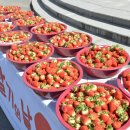 홈플러스 진주점 이미지