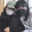 초리포레스트 이미지