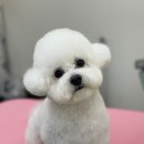 백마야장소곱창 이미지