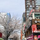 슬림라인바디리폼 | [신촌다이어트] 누워서 살 빼는 '더슬림바디라인' EMS & 비만관리 리얼 후기
